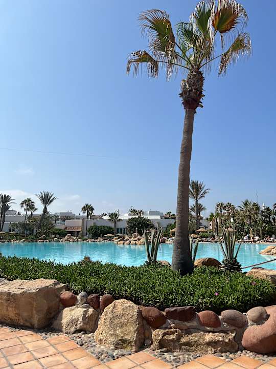 Pool Hotel Riu Tikida Dunas