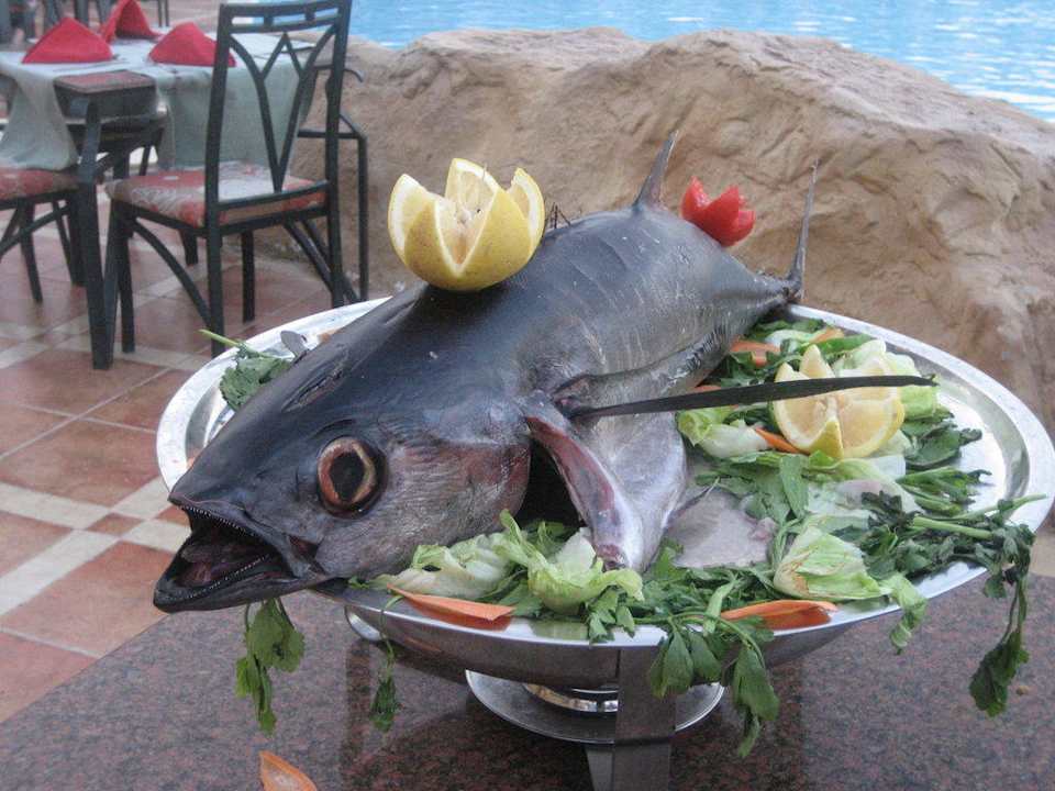 Grillabend am pool Pickalbatros Palace Resort