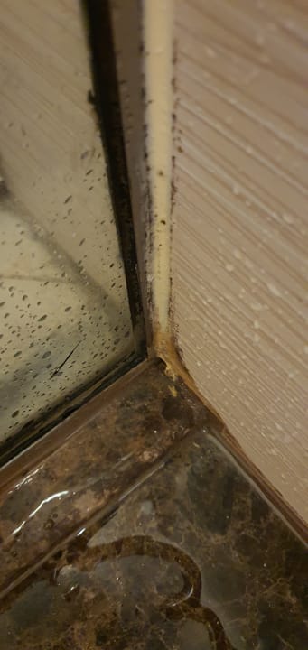 Zimmer Oaks Ibn Battuta Gate Dubai