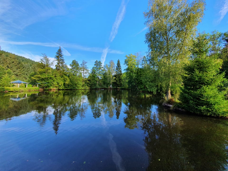 Gartenanlage Hotel Molitors Mühle