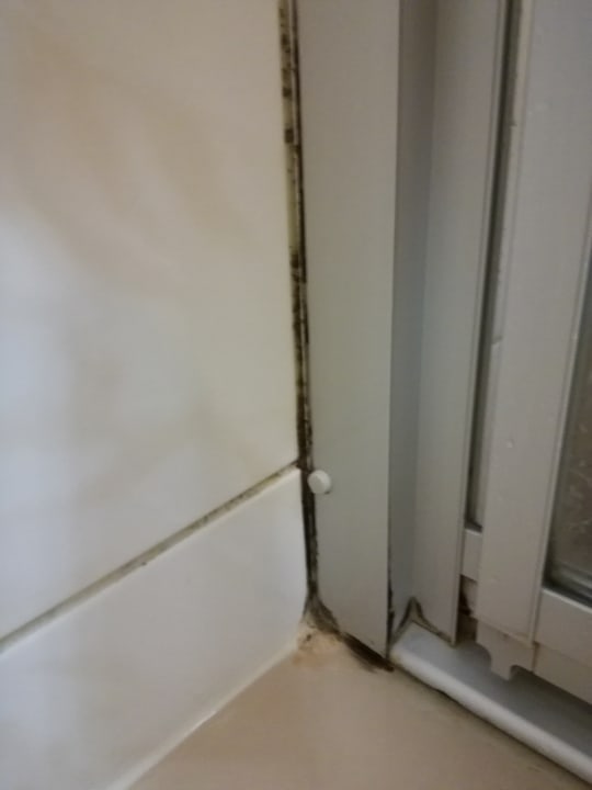 Zimmer Pension Schönblick