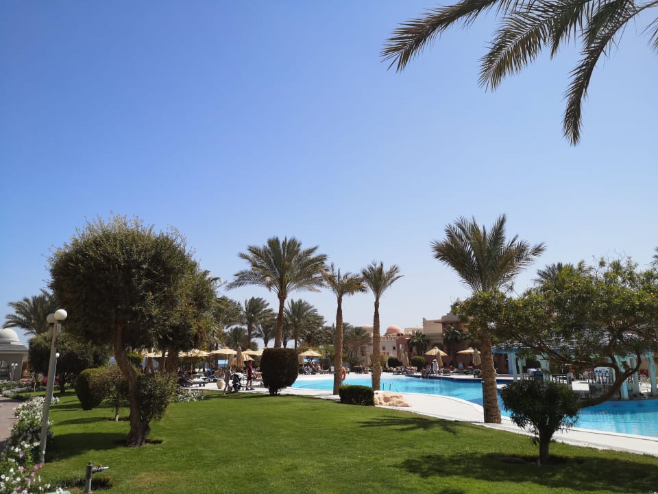 Pool Serenity Alpha Beach