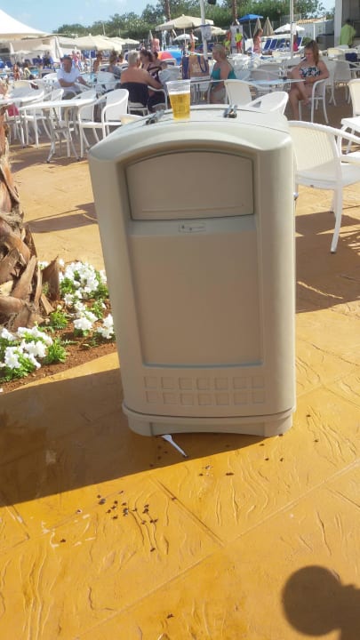 Splashworld Globales Bouganvilla