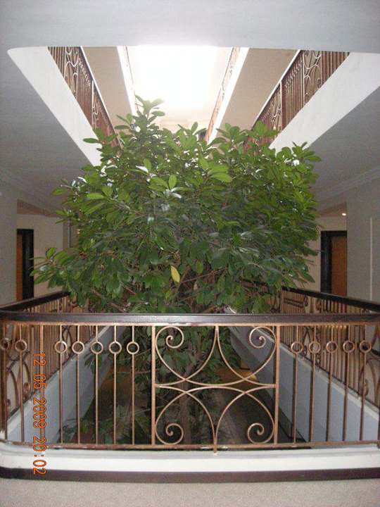 Vor den Zimmern Hotel Royal Thalassa Monastir
