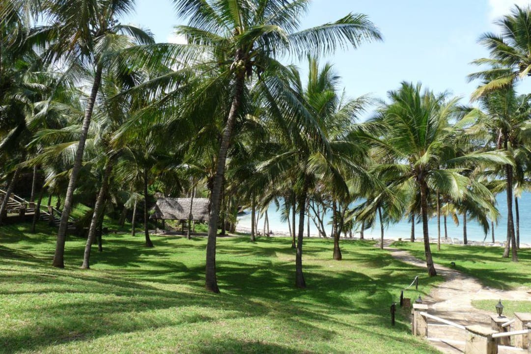 Blick vom Pool zum Strand PrideInn Flamingo Beach Resort & Spa