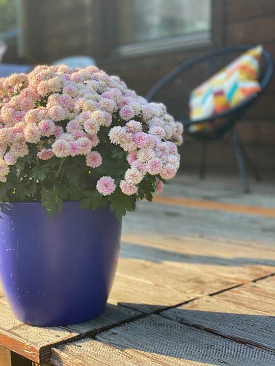 Außenansicht Hotel Ferienpark Plauer See