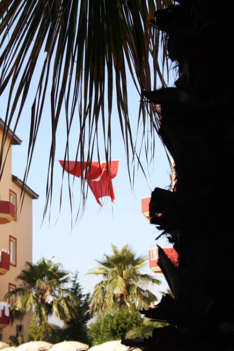 Palme Hotel Orfeus Park