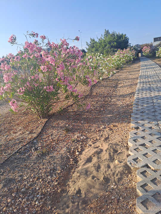 Strand Calido Maris Hotel