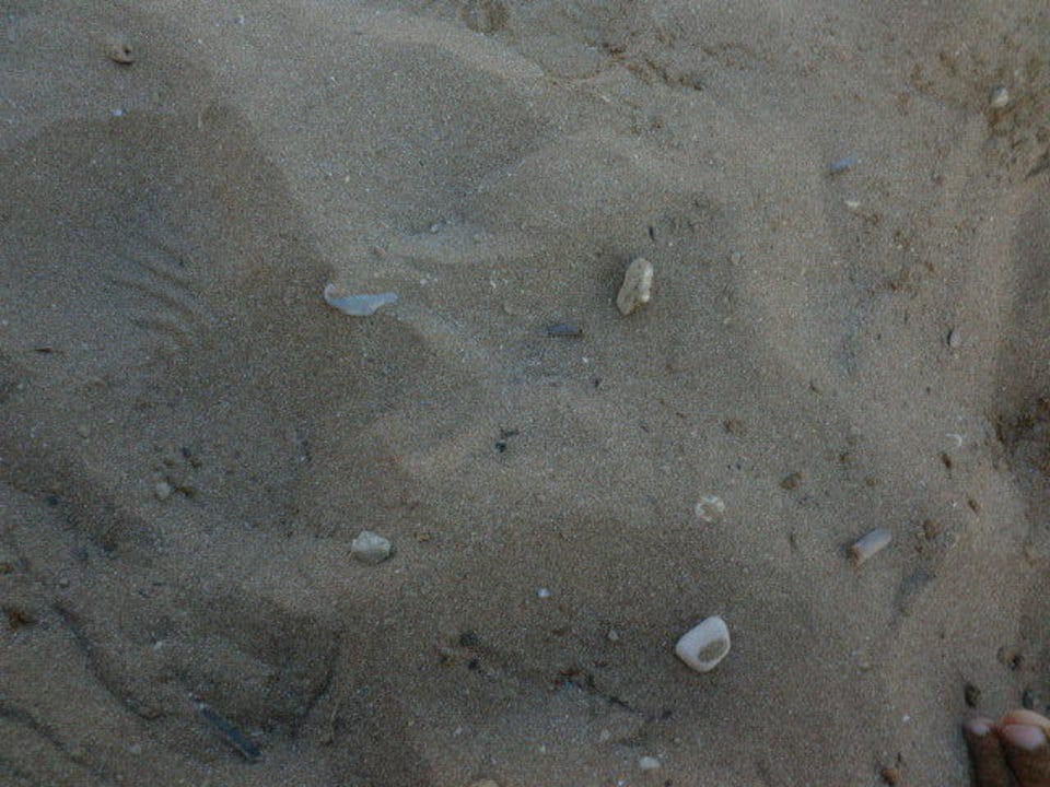 Sandstrand mit einigen kleinen Steinen Annabella Diamond Hotel & Spa