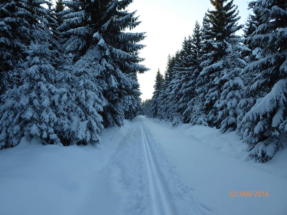 Sonstiges Ferienwohnung Flöhatalblick
