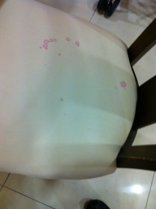 Stuhl Hotel Süral Resort