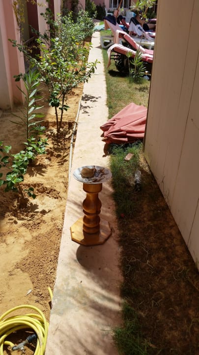 Schmutzgeschirr ungekonnt versteckt Lella Meriam Hotel & Club