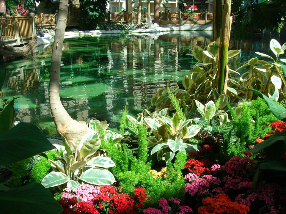 Gartenanlage im Hotelinneren Hotel Gaylord Palms Resort and Spa