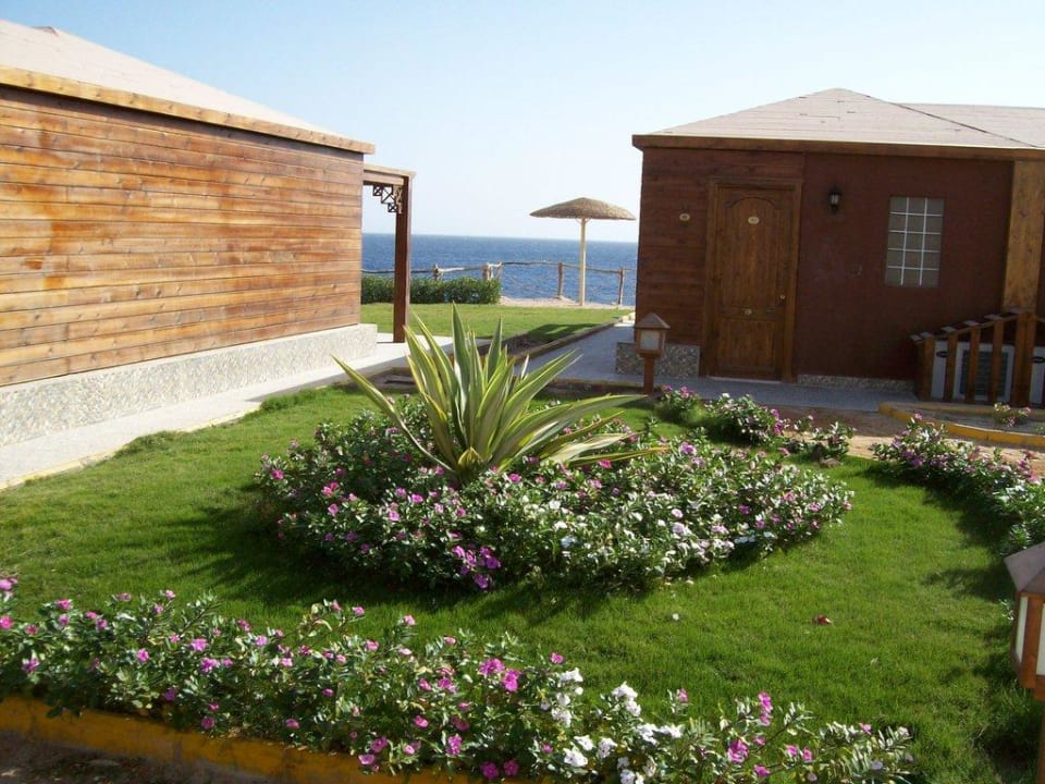 Holzbungalow Siva Golden Bay Makadi