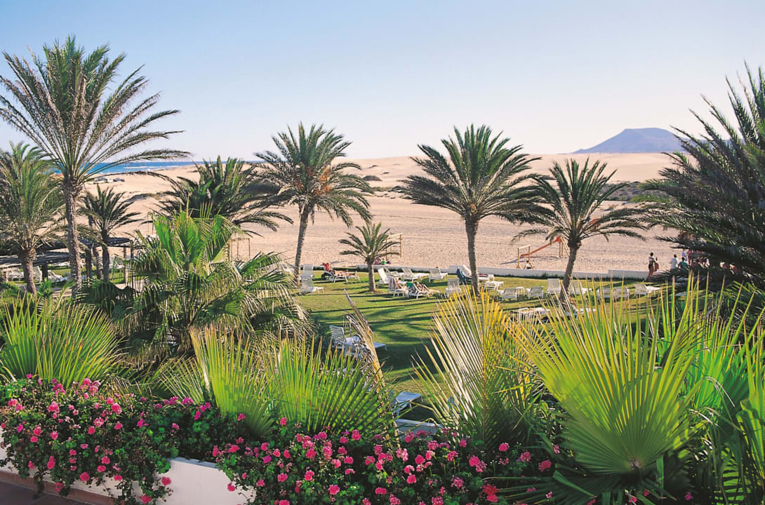 Ausblick Hotel Riu Oliva Beach Resort