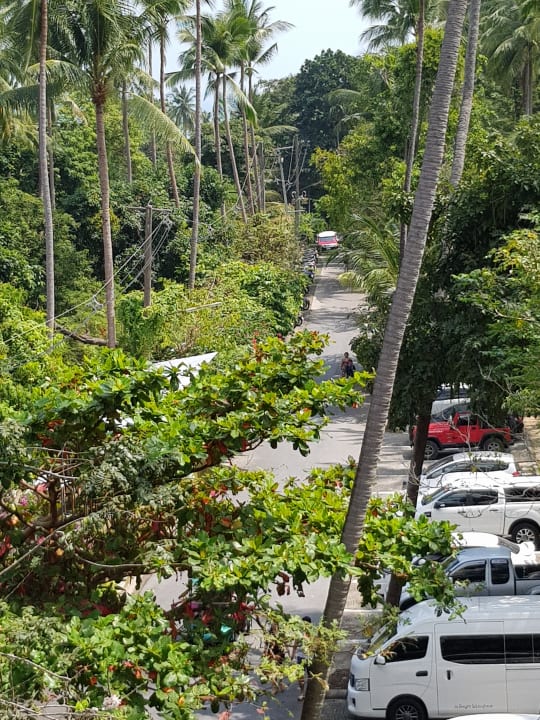 Blick aus der Hotellobby The Fair House Beach Resort