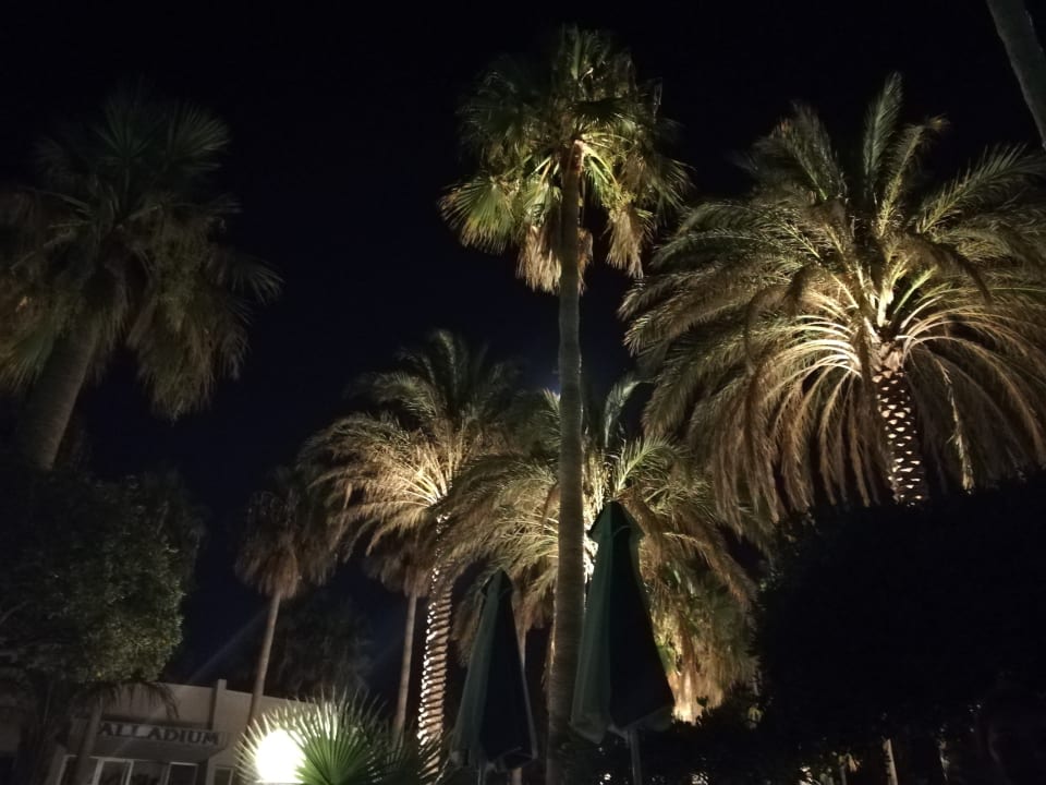 Garten Calimera Sirens Beach