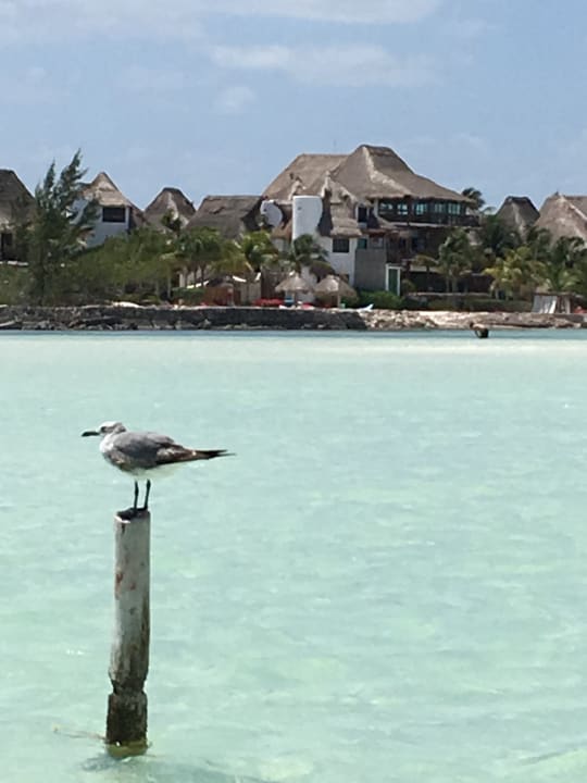 Außenansicht Hotel Villas Flamingos