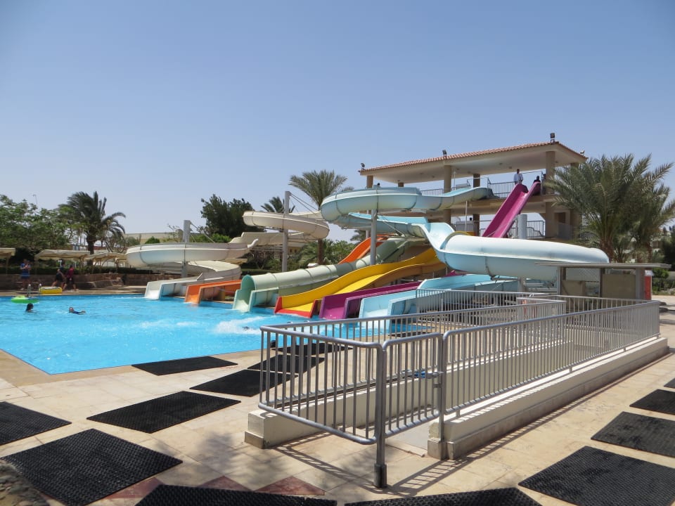 Sport & Freizeit Desert Rose