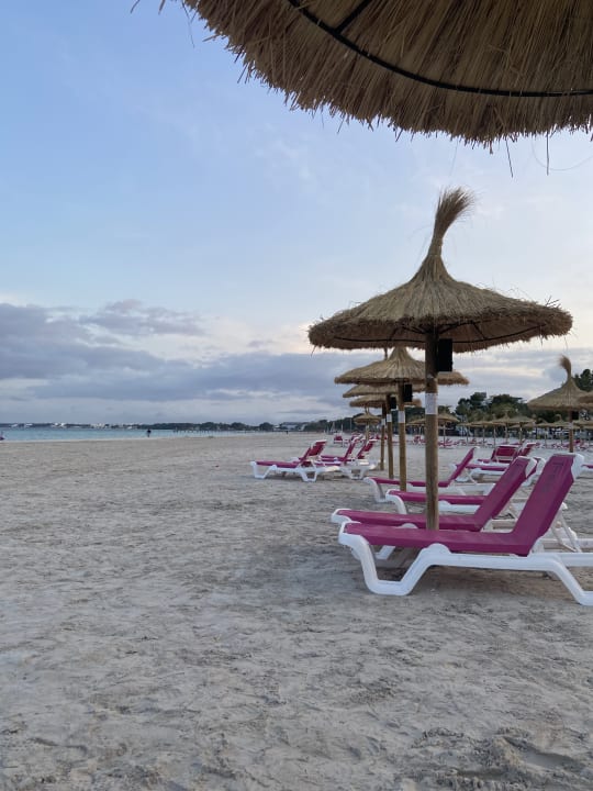 Strand Alcudia Garden Aparthotel