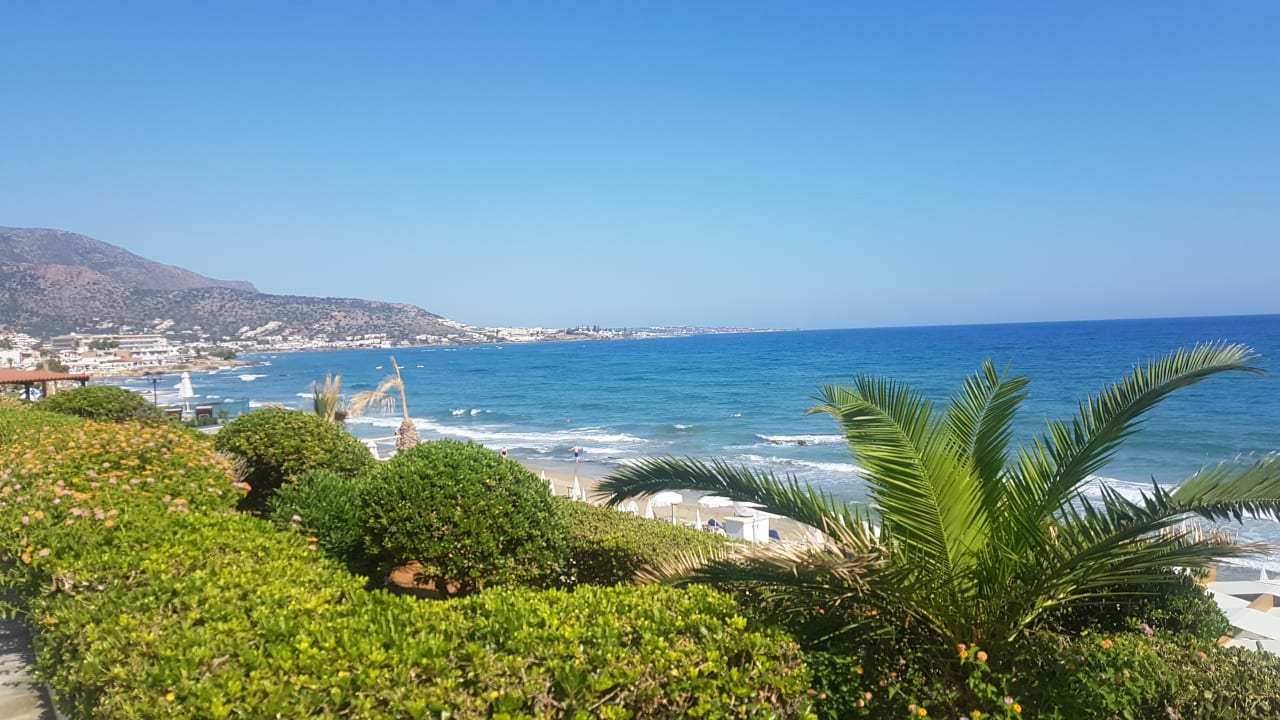 Ausblick Alexander Beach Hotel & Village Resort