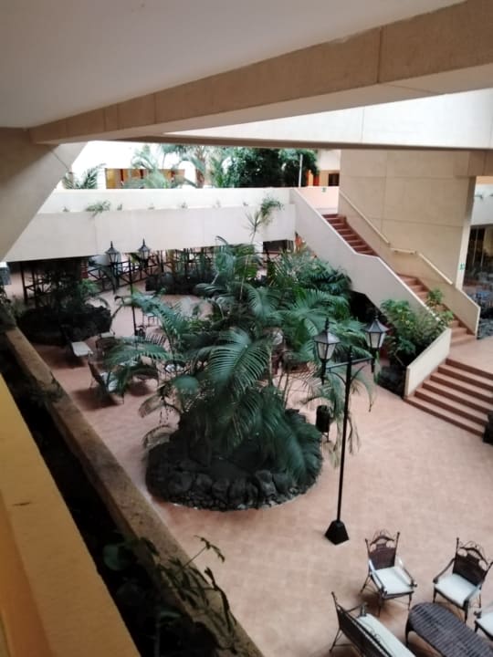 Gartenanlage Hotel Beatriz Playa & Spa