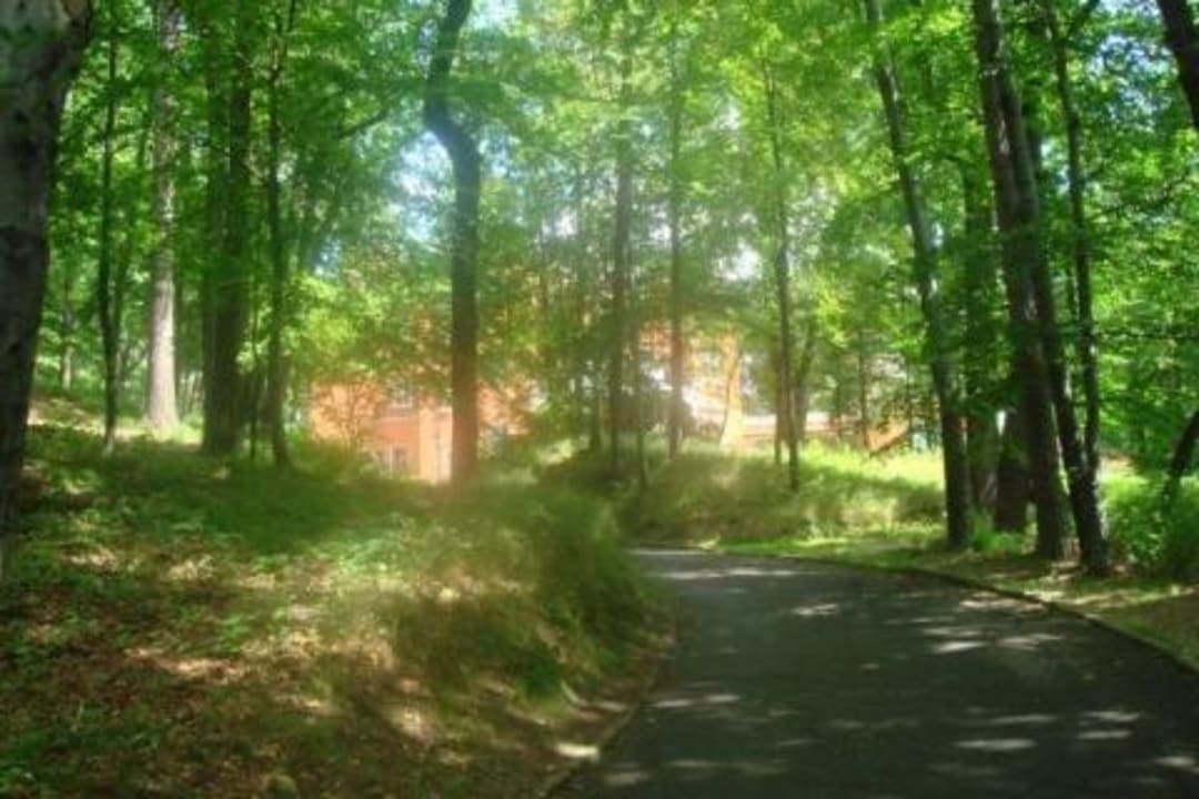 Schöne Auffahrt Hotel Pałac Paulinum