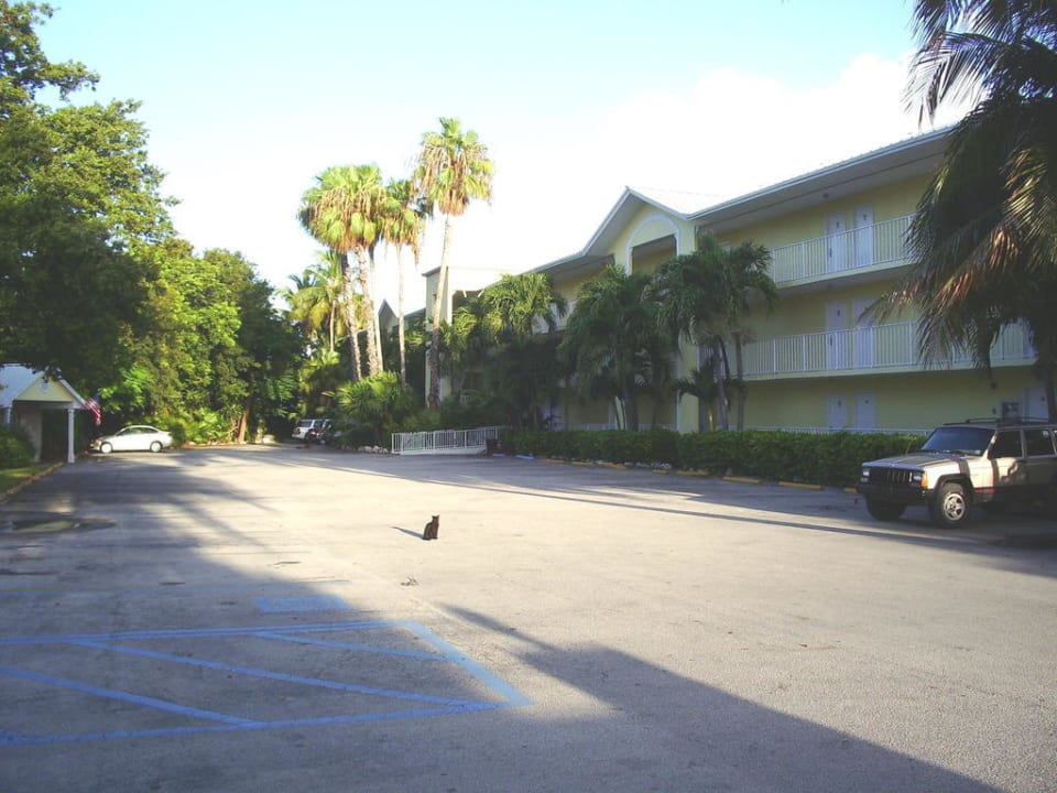 Bayside Inn Hotel Bayside Inn Key Largo