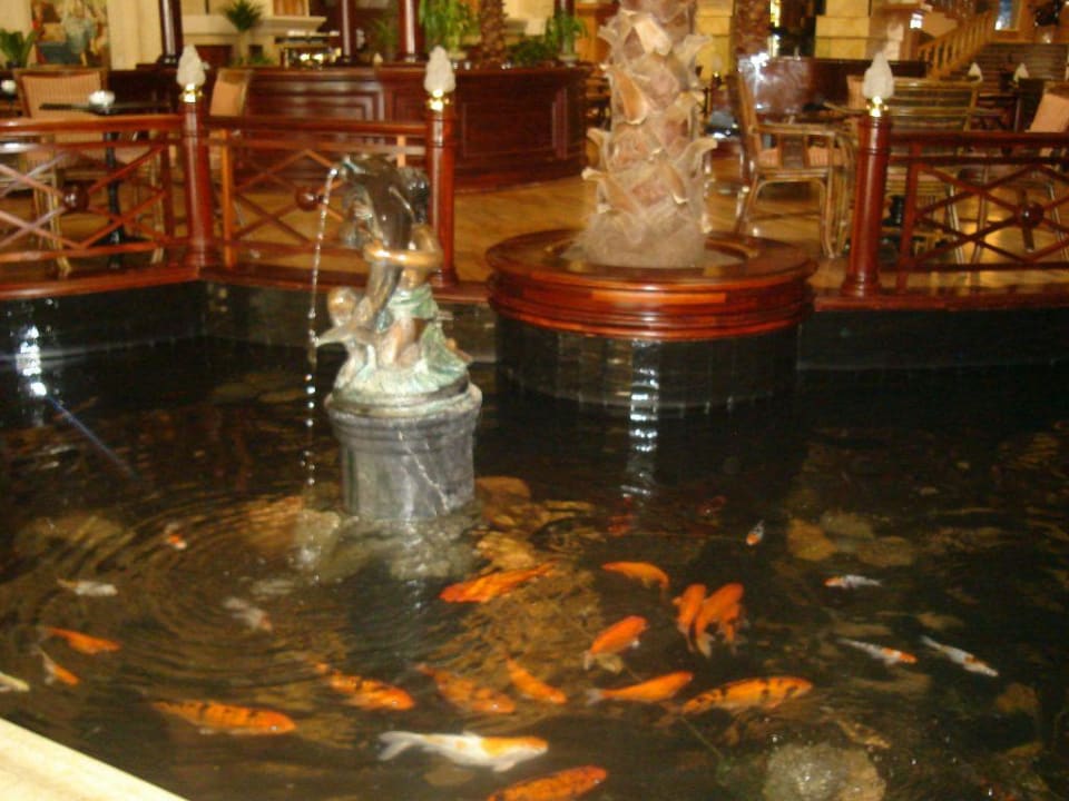 Interconti Abu Soma, Lobbybar Palm Royale Resort - Soma Bay