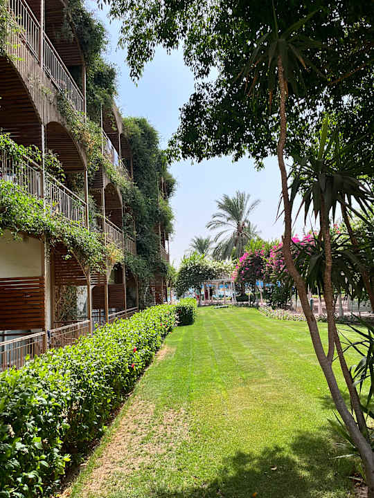 Gartenanlage Desert Rose