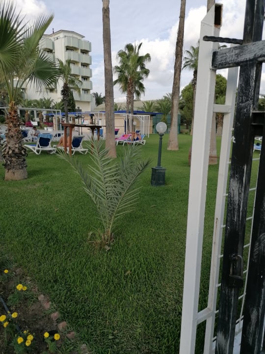 Gartenanlage Süral Saray Hotel