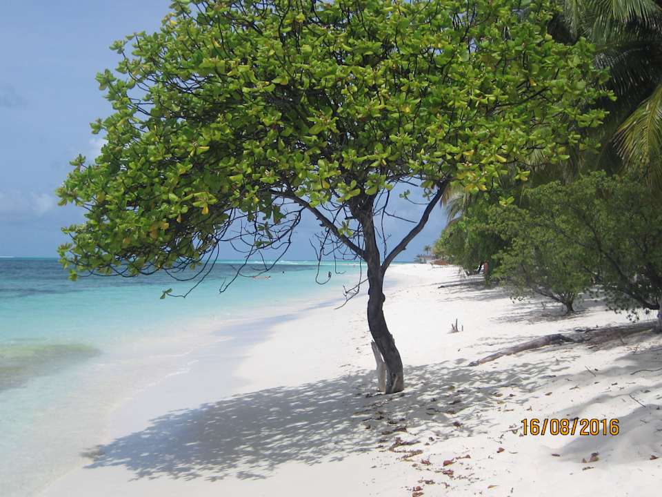 Südseite Kuredu Island Resort & Spa