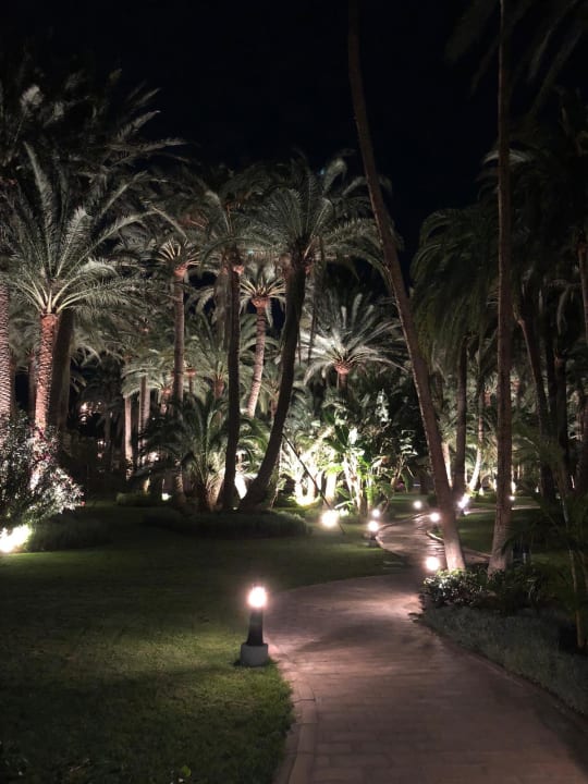 Gartenanlage Hotel Riu Palace Oasis