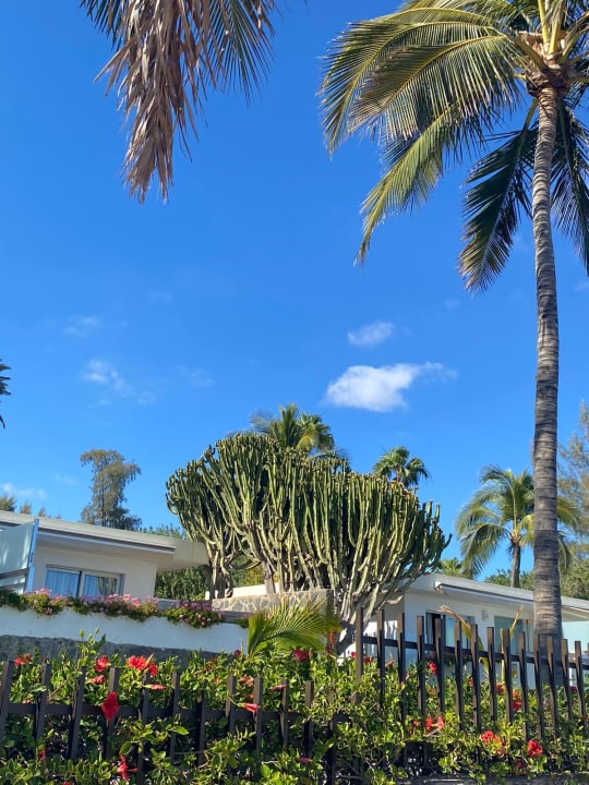 Gartenanlage Bull Costa Canaria & Spa - Adults only