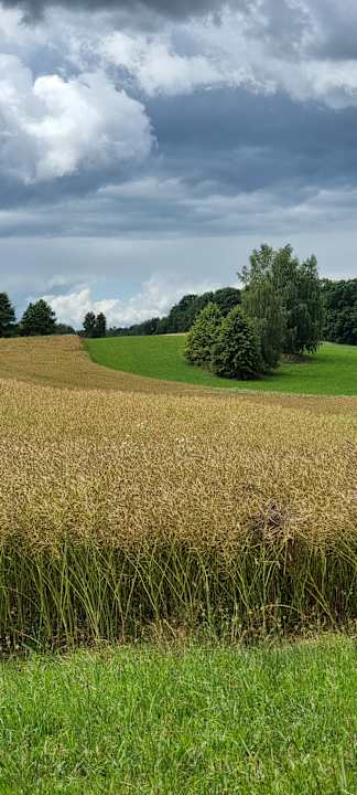 Gartenanlage Pałac i Folwark Galiny