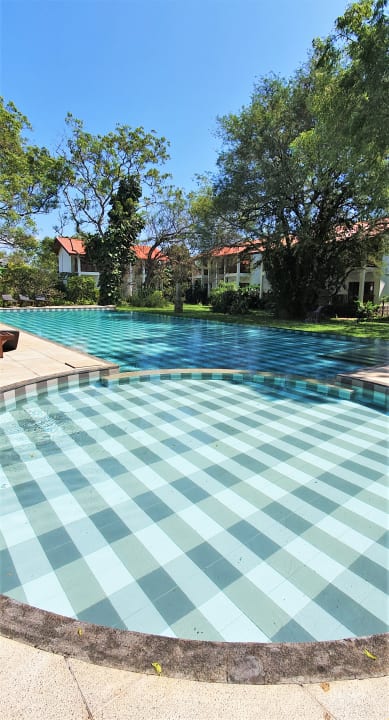 Pool Blue Turtle Hotel