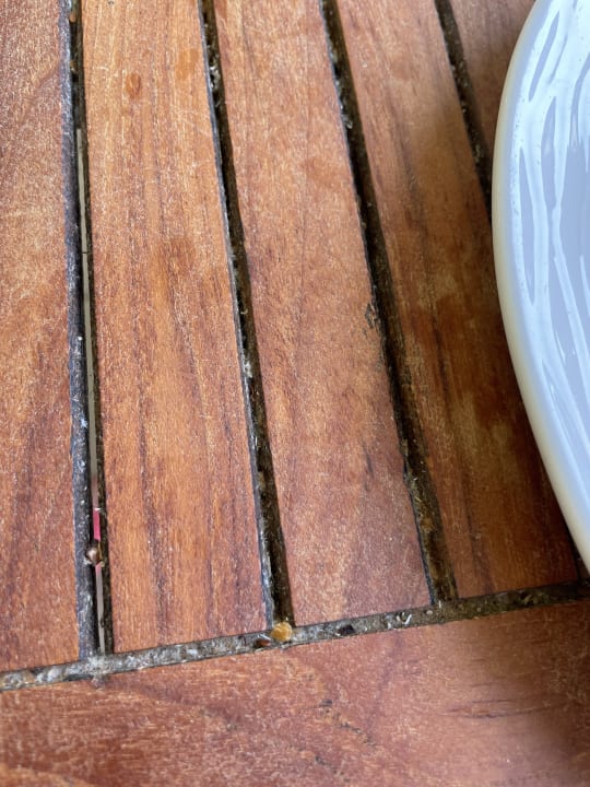 Gastro Sherwood Exclusive Kemer