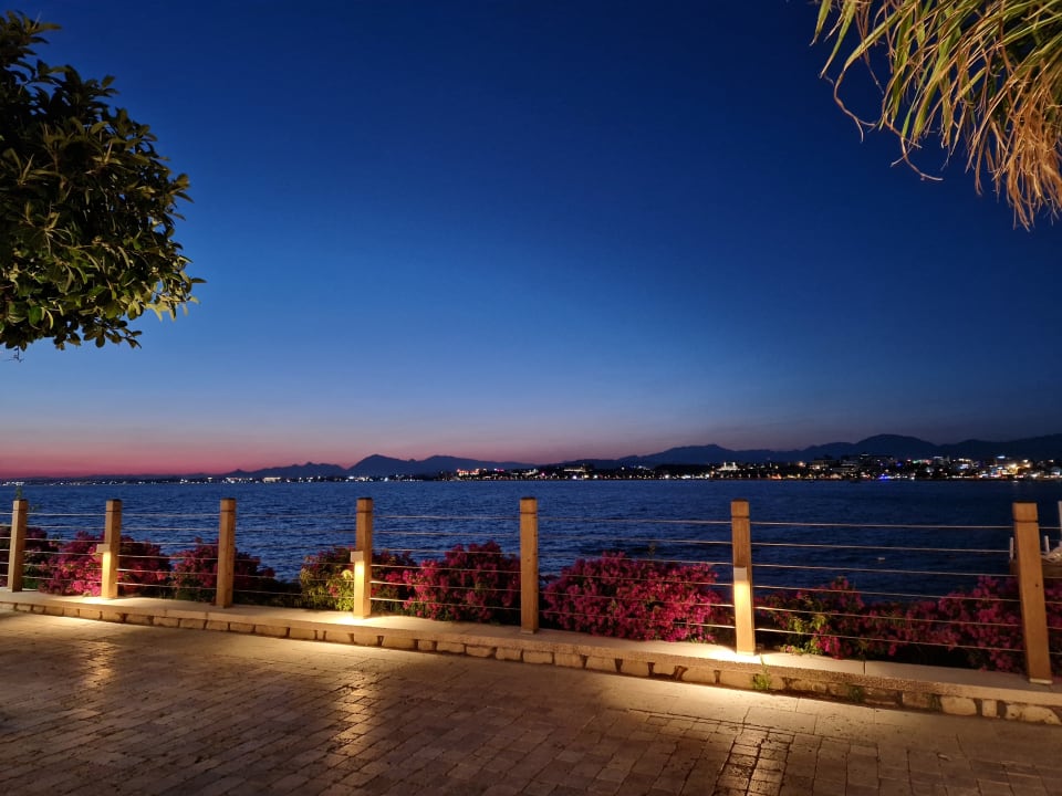 Ausblick Side Star Elegance