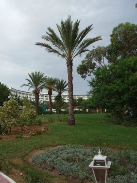Hotel salambo Club Salammbô Hammamet