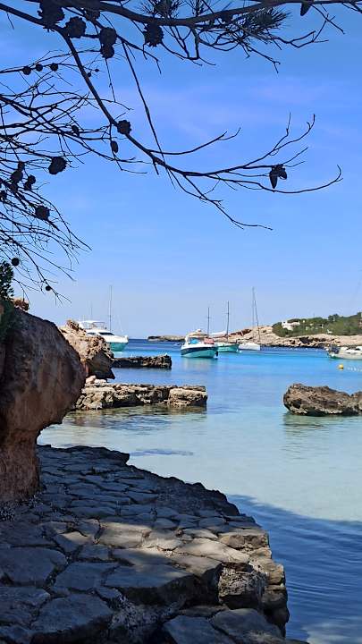 Strand Grupotel Ibiza Beach Resort