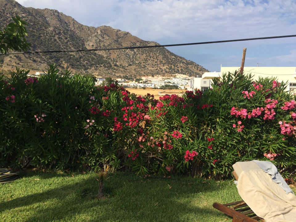 Gartenanlage Akti Palace Resort & Spa