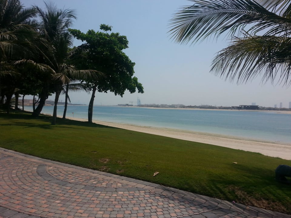 Jegliches Grün wird hier künstlich bewässert Atlantis, The Palm