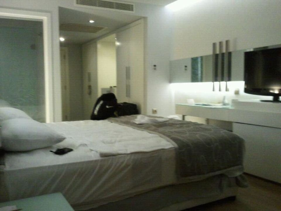 Zimmer Gold Island Selected