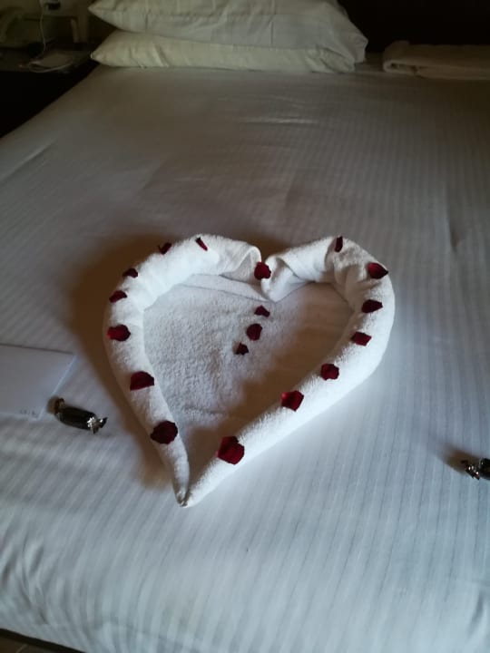 Zimmer Mövenpick Resort El Quseir