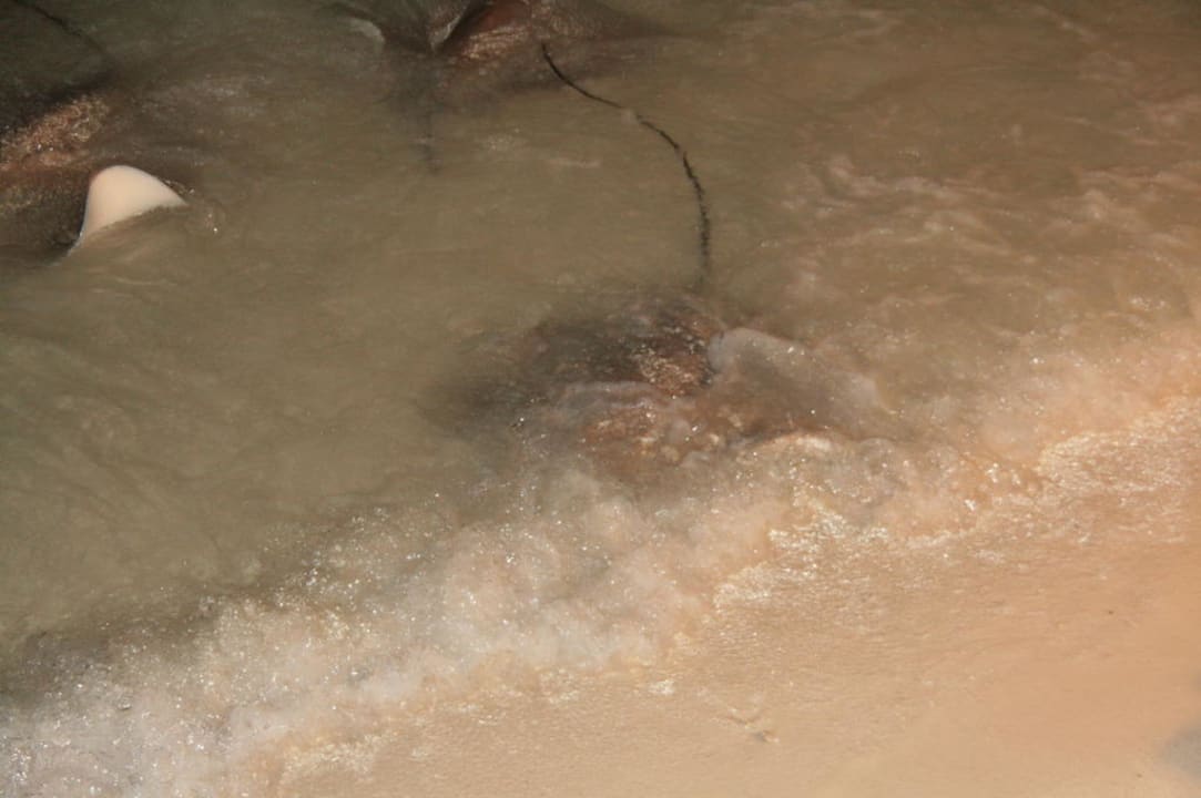 Am Strand Kuramathi Maldives