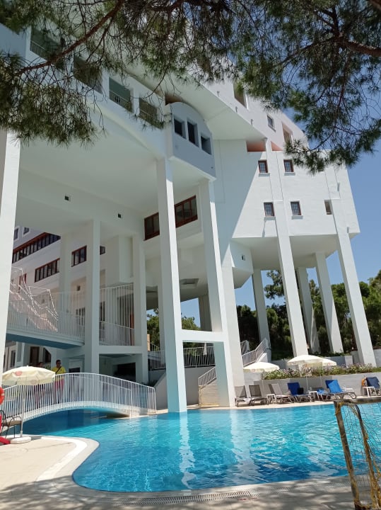 Pool Asteria Collection Side
