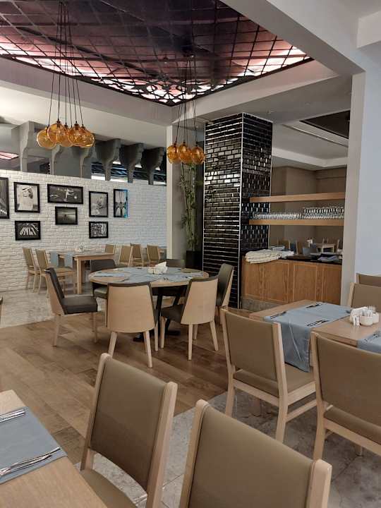 Gastro Seashell Vega