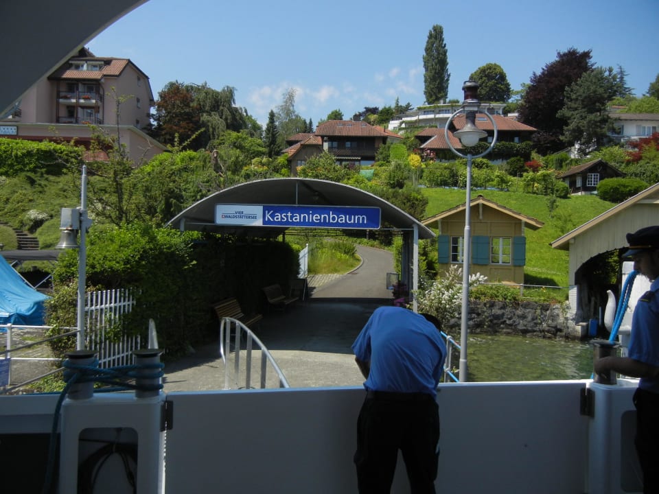 Bootsanlegeplatz Kastanienbaum Seehotel Kastanienbaum