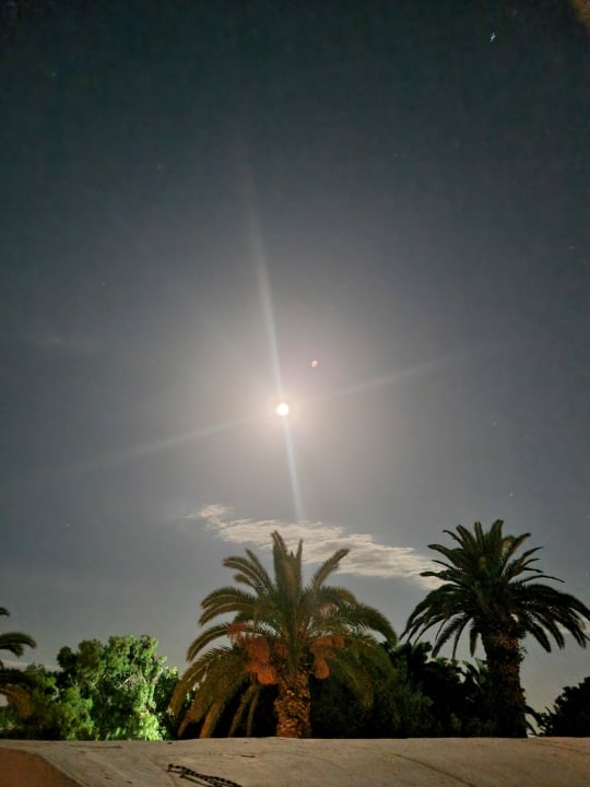 Zimmer Hotel Bel Azur Thalasso & Bungalows