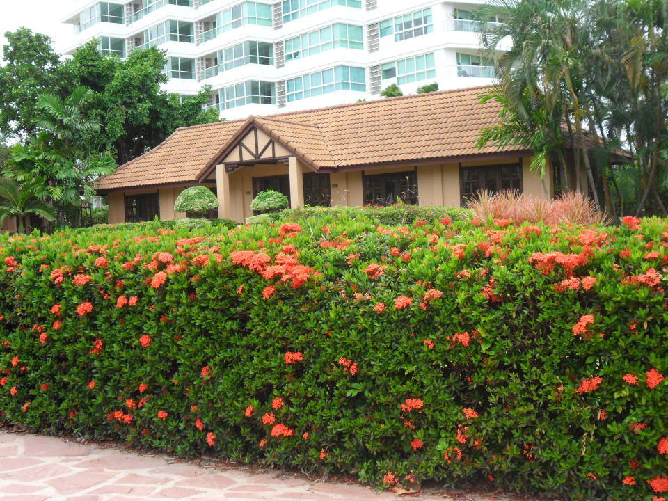 Botany Beach Resort Botany Beach Resort